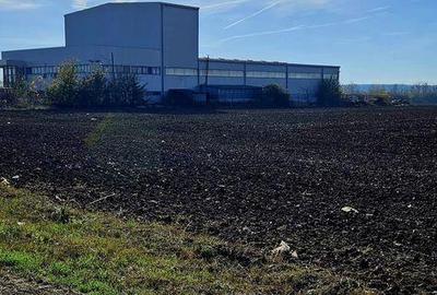 Teren de 15000 mp, în Nord - 3