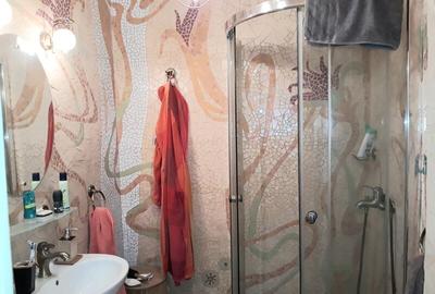 Lacul Tei, Parcul Circului, Lidl, Mega Image, adiacent - 17