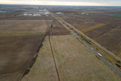 Teren 22.500 mp–Pecica, jud. Arad,Posibilitate PUZ - 6