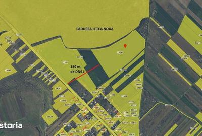 Teren de 40000 mp, în Letca Nouă - 6