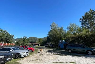 Teren de 3600 mp, în Morilor - 6