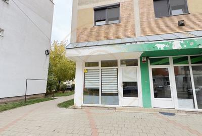 Spatiu Comercial MV1 Zona Ludy - Str. Regele Ferdinand I Nr. 6 Carei - 10