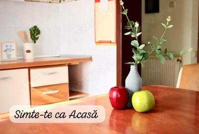 Casă cu Teren 400 Mp în Sfântu Ilie - 10