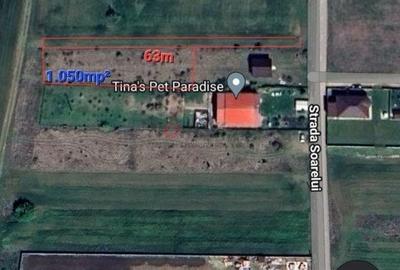 Terenuri Ciorogarla - 500mp -> 7.500mp -> 4 Ha - 8