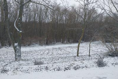 Spațiu comercial, în Făurei - 6