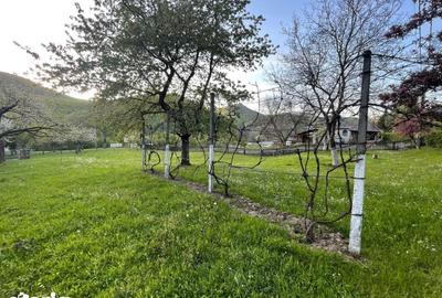 Teren de 1590 mp, în Firiza - 4