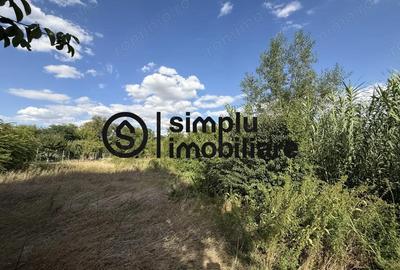 Casă cu 3 camere cu Teren 1676 Mp în Malu Mare - 9