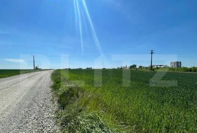 Teren de 25000 mp, în Central - 2