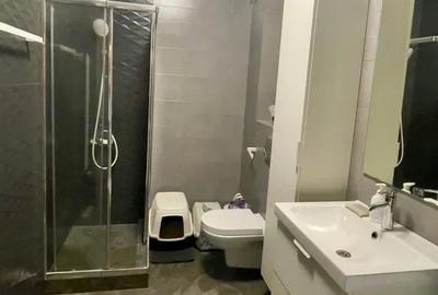 Apartament cu 3 camere decomandat, mobilat în Pescărie - 9