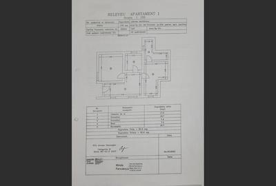 Apartament 3 Camere in vila, Târgu-Jiu - 2021, 65 mp, Garaj și Curte - 14