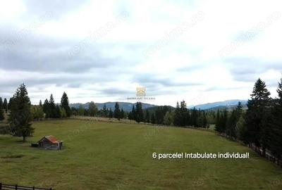 Teren de 16813 mp, în Fundu Moldovei - 13