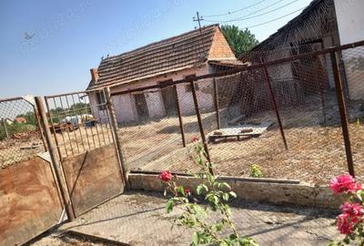 Casă cu 4 camere cu Teren 2877 Mp în Breștea - 1