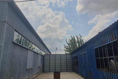 Se inchiriaza Hala/Garaj 40 mp Soseaua Alexandriei 26