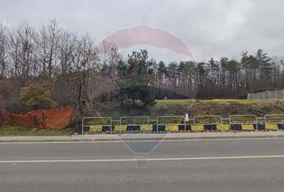 Oportunitate investi?ie B. Felix teren intravilan cu PUZ 1157 mp DN 76 - 3