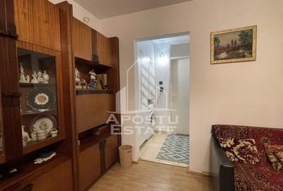 Apartament cu 2 camere semidecomandat, mobilat în Micălaca - 5