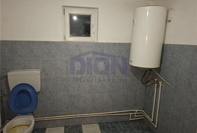 Pantelimon - Tuborg - 11