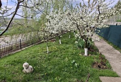 Casă cu 3 camere în Aroneanu - 8