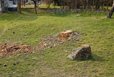 Spațiu comercial, în Nămăești - 15