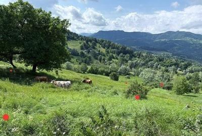 Buzau Teren de vanzare La Bisoca aproape de strada - 1