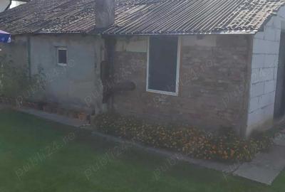 Casa pe pamant de vanzare Valu Traian - 6