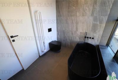 Duplex Loft de in zona Aviatiei - 1