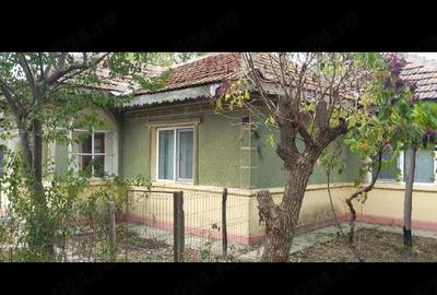 Casă cu 3 camere cu Teren 1877 Mp în Movila - 3