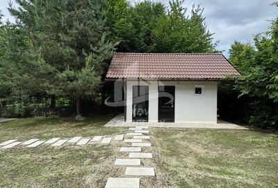 Pensiune/ Vila Valea Avrigului - 25