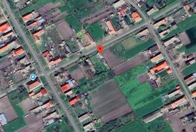 Casă cu 2 camere cu Teren 719 Mp în Beba Veche - 3