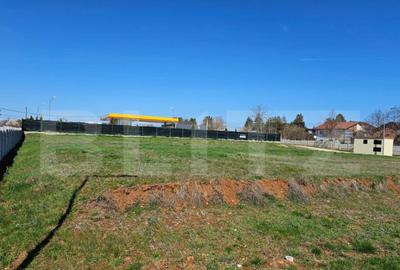 Teren intravilan destinatie construire, Targoviste Vest - Ca - 8