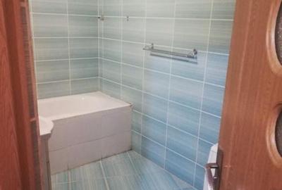 Garsoniera Aradului - 2