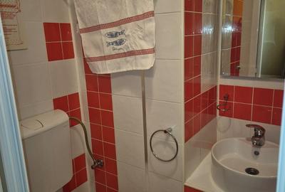 Apartament 2 camere în zona Spitalul Județean - 10