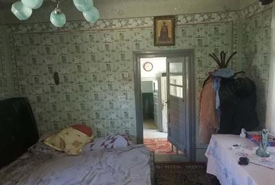 Casa boga?i glambocel - 5