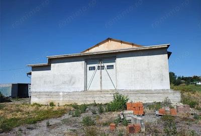 Spațiu comercial, de 972 mp, în Mișca - 6