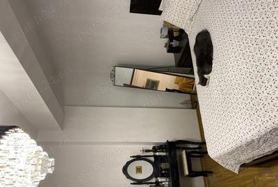 Apartament 3 camere Fundeni Doinei - 3