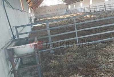 Ferma zootehnică funcțională, populată cu peste 200 capete bovine, aproape de Sâ - 13