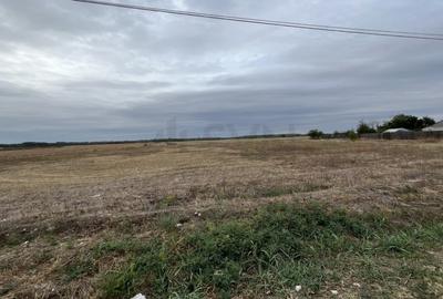 Teren Construcții intravilan de 1700 mp, în Merii - 2