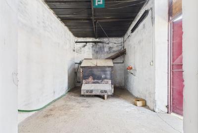 Hale 1800 mp fiecare – acces autostradă, Teiu, HD - 10