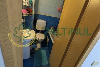 Apartament luminos, 2 camere, 66 mp  Lazaret, etaj 2/2, pod - 10