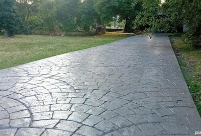Vand vila cu valoare istorica in zona Iosif Vulcan - 5