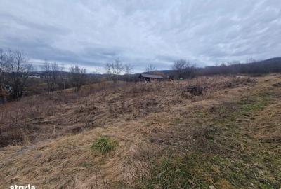 Teren de 1279 mp, în Central