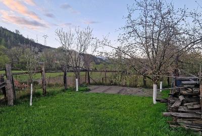 Casă cu Teren 450 Mp în Central - 5