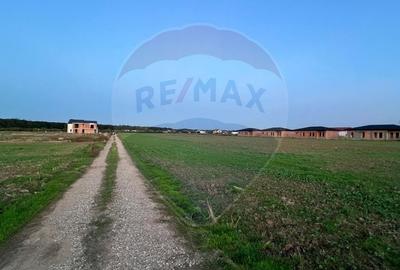 De vanzare Casa / Vila 5 camere la rosu + 540 mp teren Balotesti - 3