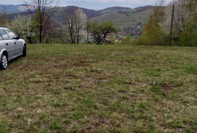 Spațiu comercial, în Damiș - 4