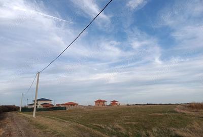 Spațiu comercial, de 300 mp, în Remetea Mare - 4