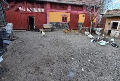 Casă individuală cu 3 camere cu Teren 1300 Mp în Recea - 9