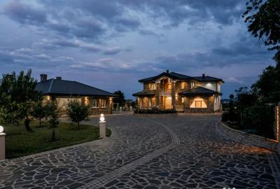 Casă cu 8 camere cu Teren 11880 Mp în Horodnic - 14