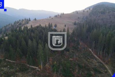 Teren situat in Frasin | BUCOVINA - 1