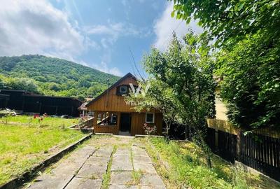 Casa de vacanta-Zona linistita cu view superb