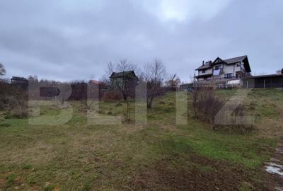 Teren de 2600 mp, în Strugurilor