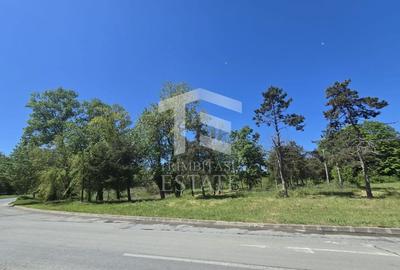 NEPTUN - Teren intravilan cu regim de construire IS3C. - 9